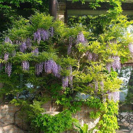La Casa Sopra Le Nuvole Villa Medesano ภายนอก รูปภาพ