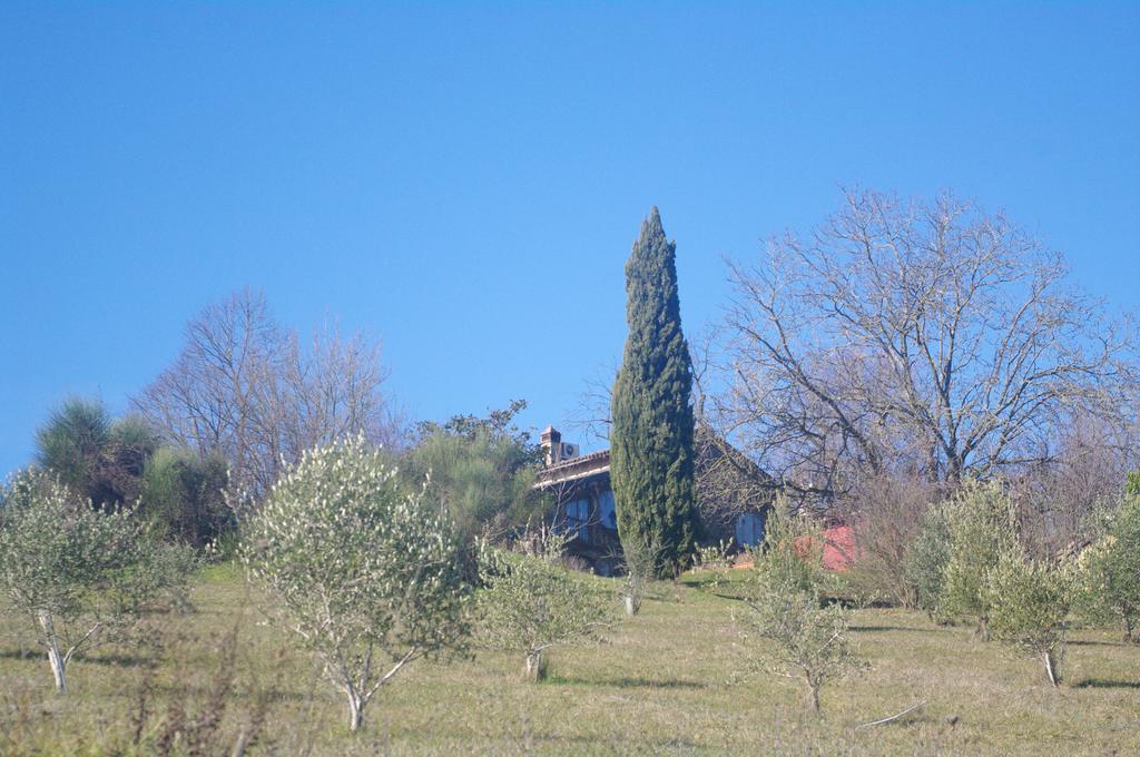 La Casa Sopra Le Nuvole Villa Medesano ภายนอก รูปภาพ